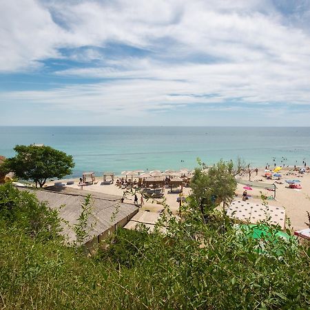 Steller Hostel & Camping Odessa Zewnętrze zdjęcie